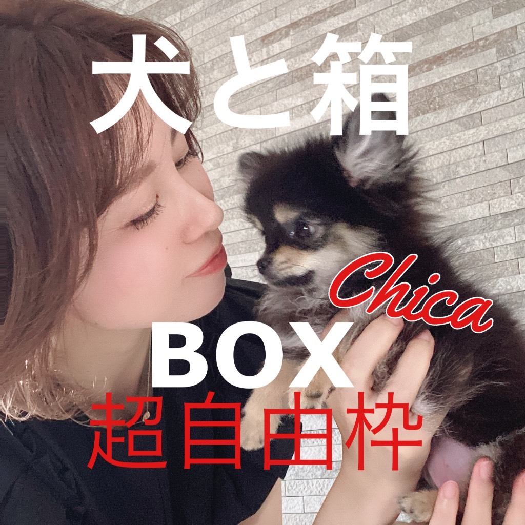 ぽこちゃ Pococha（ポコチャ）公式サイト - ライブコミュニケーションアプリ