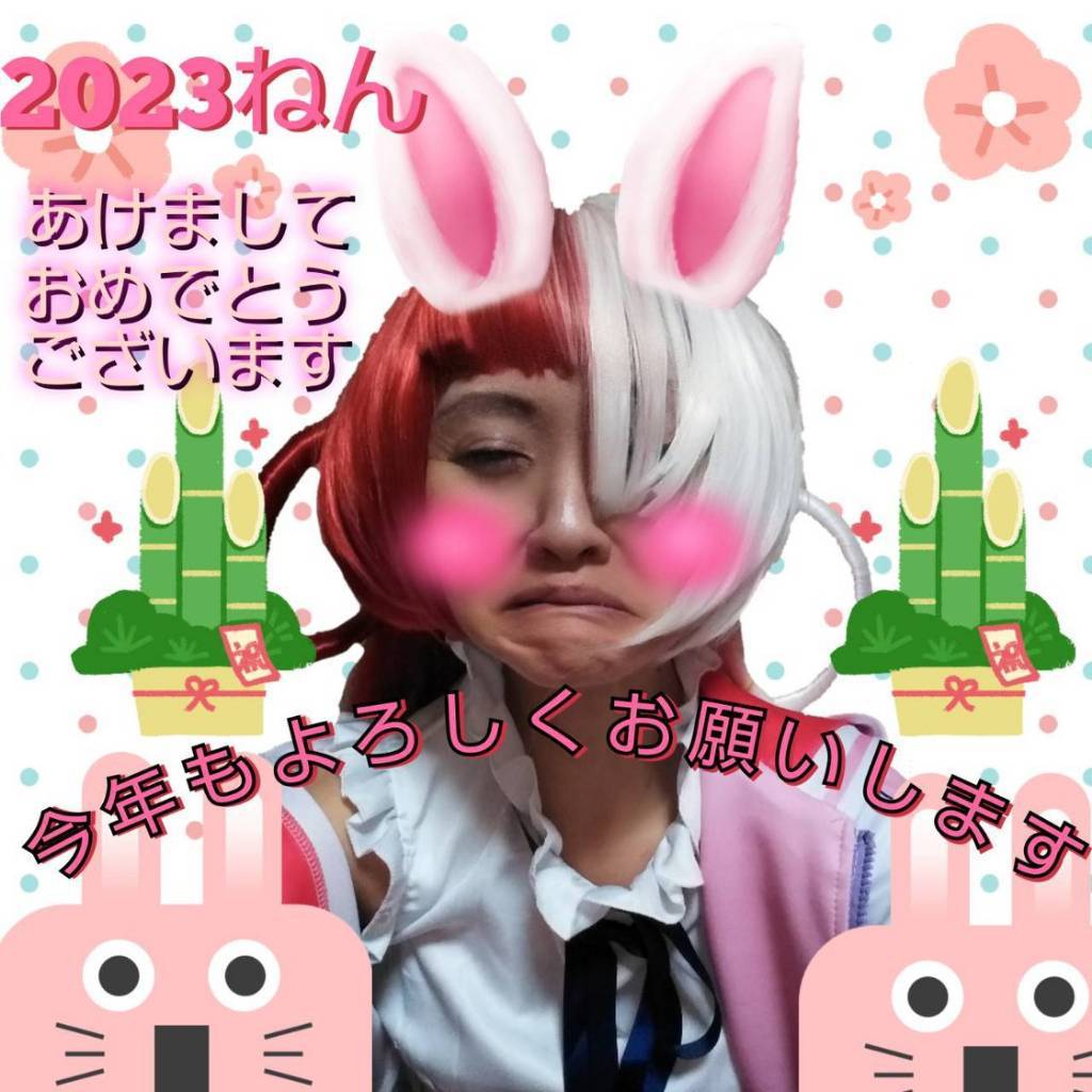 ぽこページ Pococha