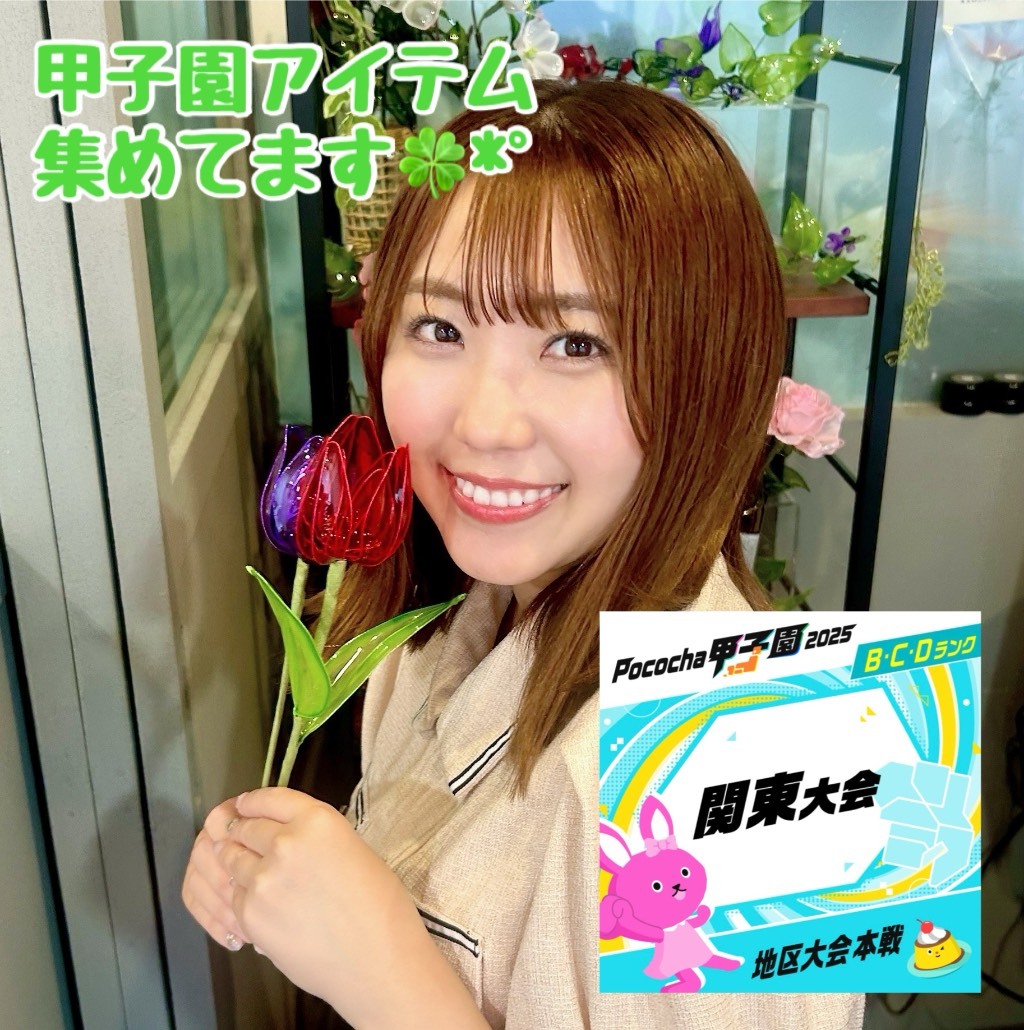 12月24日まで ぽこにゃん 3点 Slow commentary] Cover up Reimu's bombshell statement rather